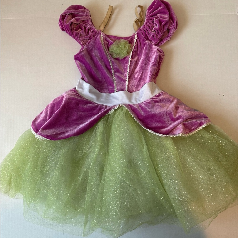 Revolution Dance Costume - Pink and Green